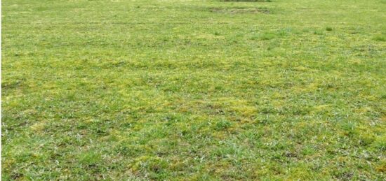 Terrain à bâtir à Passais, Normandie