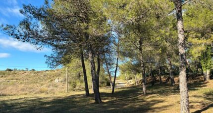 Grabels Terrain à bâtir - 2363535-10896annonce320251210WTsKd.jpeg Maisons Open