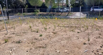 Combaillaux Terrain à bâtir - 2364244-11040annonce1202512102VL8g.jpeg Maisons Open