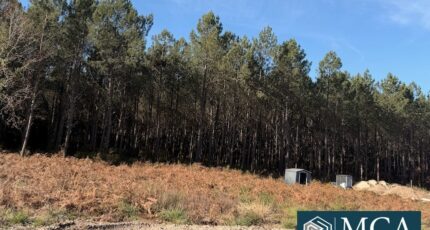 Vielle-Saint-Girons Terrain à bâtir - 2363269-5828annonce120251210k2rOe.jpeg Maisons Open