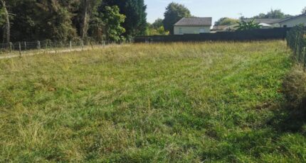 Langon Terrain à bâtir - 2364512-10677annonce120251211k6Anv.jpeg Maisons Open