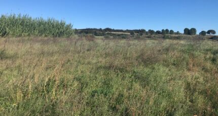 Saint-Mathieu-de-Tréviers Terrain à bâtir - 2251112-10245annonce120250826ZTVhf.jpeg Maisons Open