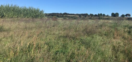 Terrain à bâtir à Saint-Mathieu-de-Tréviers, Occitanie