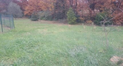 Bouc-Bel-Air Terrain à bâtir - 2364744-11041annonce320251211sUXpT.jpeg Maisons Open