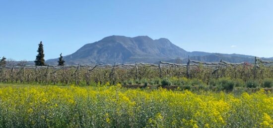 Terrain à bâtir à Ventavon, Provence-Alpes-Côte d'Azur