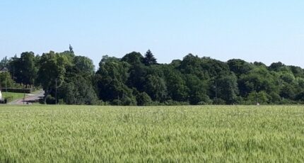 Boullay-les-Troux Terrain à bâtir - 2293412-11148annonce120251003QTNBc.jpeg Maisons Open