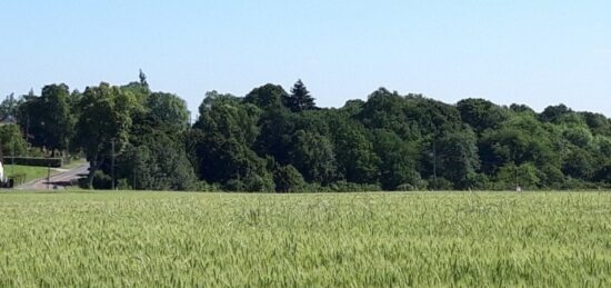 Terrain à bâtir à Boullay-les-Troux, Île-de-France