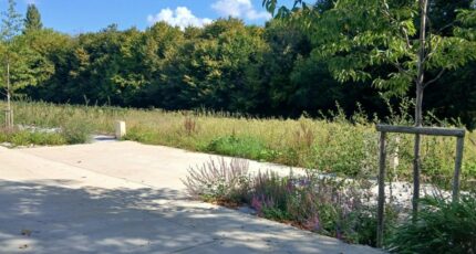 Honfleur Terrain à bâtir - 2267207-11563annonce22025091006Qzl.jpeg Maisons Open