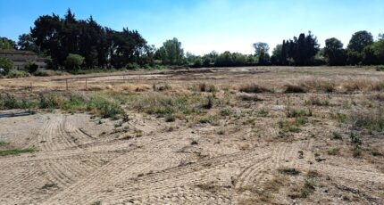 Salon-de-Provence Terrain à bâtir - 2365718-11041annonce120251211BA4Xk.jpeg Maisons Open