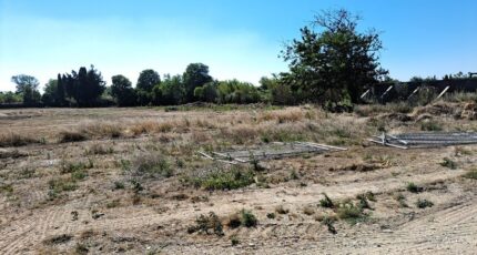 Salon-de-Provence Terrain à bâtir - 2365718-11041annonce4202512113bMbS.jpeg Maisons Open