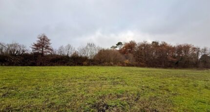 Monestier Terrain à bâtir - 2365657-11709annonce3202512111qQA8.jpeg Maisons Open