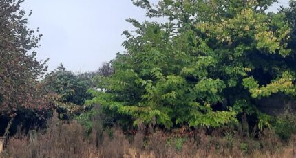 Bordeaux Terrain à bâtir - 2366160-11151annonce120250225cSJTF.jpeg Maisons Open