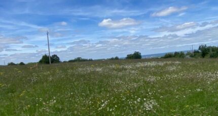 Colombier Terrain à bâtir - 2365819-11709annonce1202512122HbKr.jpeg Maisons Open