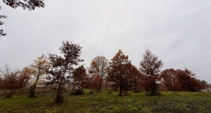 Maurens Terrain à bâtir - 2357686-11709annonce120251212lqXde.jpeg Maisons Open