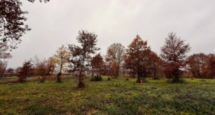 Maurens Terrain à bâtir - 2357686-11709annonce420251212TmZU3.jpeg Maisons Open