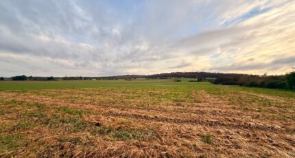 Mouleydier Terrain à bâtir - 2366343-11709annonce120251212psCyL.jpeg Maisons Open