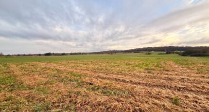 Mouleydier Terrain à bâtir - 2366343-11709annonce320251212r98Xa.jpeg Maisons Open