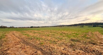 Mouleydier Terrain à bâtir - 2366343-11709annonce420251212ruS1q.jpeg Maisons Open