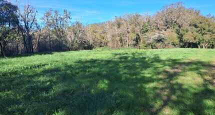 Cadaujac Terrain à bâtir - 2366247-11358annonce120251212aHTf1.jpeg Maisons Open