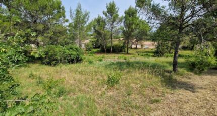 Fontiès-d'Aude Terrain à bâtir - 2366467-11456annonce220250821uXO9w.jpeg Maisons Open