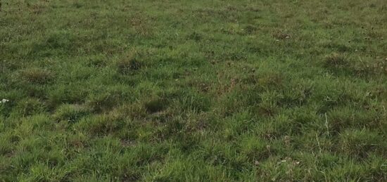 Terrain à bâtir à Putanges-Pont-Écrepin, Normandie