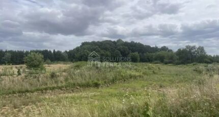 Grisy-Suisnes Terrain à bâtir - 2332833-5365annonce220251108MB4DQ.jpeg Maisons Open