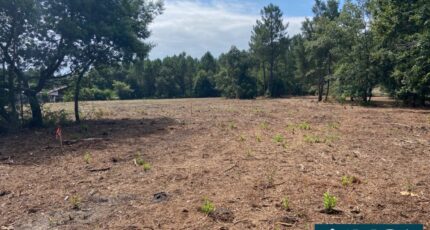 Pontenx-les-Forges Terrain à bâtir - 2367106-5828annonce120250319fnLQ5.jpeg Maisons Open