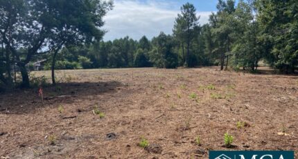 Pontenx-les-Forges Terrain à bâtir - 2367122-5828annonce120250530wSHGd.jpeg Maisons Open