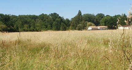 Saint-Christoly-de-Blaye Terrain à bâtir - 2367259-11015annonce120251212QQD5E.jpeg Maisons Open