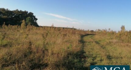 Préchacq-les-Bains Terrain à bâtir - 2367410-5828annonce120250320TMHO7.jpeg Maisons Open