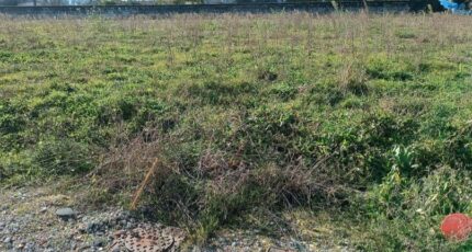 Gauriaguet Terrain à bâtir - 2367428-11015annonce120251212ghMtM.jpeg Maisons Open