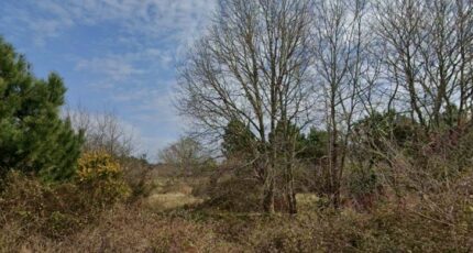 Le Barp Terrain à bâtir - 2367663-3601annonce120251213ecVDH.jpeg Maisons Open