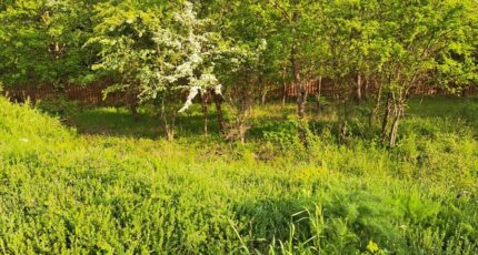 Gréasque Terrain à bâtir - 2367879-11041annonce320251213AqR3R.jpeg Maisons Open