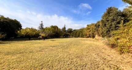 L'Isle-sur-la-Sorgue Terrain à bâtir - 2363827-417annonce120251210ZbpyI.jpeg Maisons Open