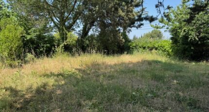 Sarrians Terrain à bâtir - 2291813-3418annonce1202506121pfmK.jpeg Maisons Open