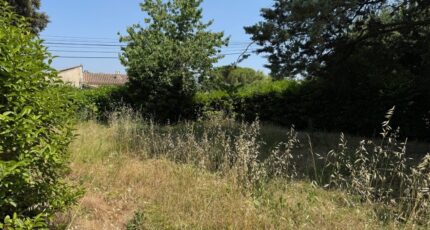 Sarrians Terrain à bâtir - 2291813-3418annonce220250612F9BRB.jpeg Maisons Open