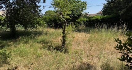 Sarrians Terrain à bâtir - 2291813-3418annonce320250612JkcsG.jpeg Maisons Open