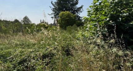 Monteux Terrain à bâtir - 2291802-3418annonce320250612sndr6.jpeg Maisons Open