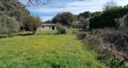 Plan-d'Orgon Terrain à bâtir - 2291876-3418annonce1202505143TMRh.jpeg Maisons Open