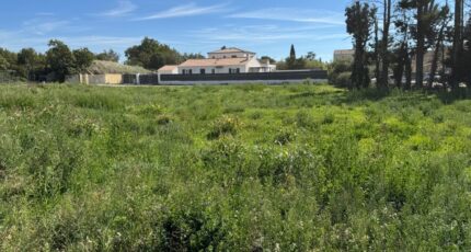 Sénas Terrain à bâtir - 2293391-3418annonce420251003iC5Z1.jpeg Maisons Open