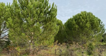 Saint-Victor-la-Coste Terrain à bâtir - 2293585-3418annonce320251003y0DtI.jpeg Maisons Open