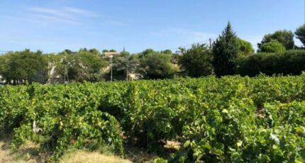 Vacqueyras Terrain à bâtir - 2295049-3418annonce120251006sVfin.jpeg Maisons Open