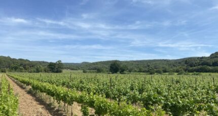 Lézignan-Corbières Terrain à bâtir - 2368704-11456annonce120250624y9ids.jpeg Maisons Open