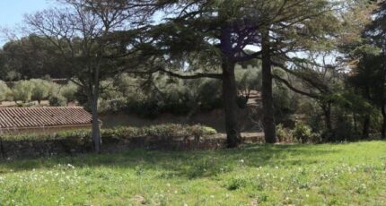 Escales Terrain à bâtir - 2368789-11456annonce320250807XZtuV.jpeg Maisons Open