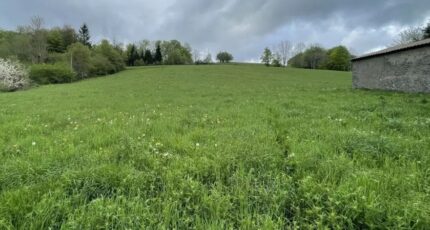 Roquefeuil Terrain à bâtir - 2368830-11456annonce320250807E31TG.jpeg Maisons Open