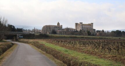 Douzens Terrain à bâtir - 2368813-11456annonce220250807oMzA8.jpeg Maisons Open