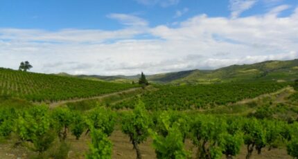 Conilhac-Corbières Terrain à bâtir - 2368802-11456annonce220250807o2PeR.jpeg Maisons Open