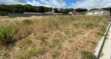 Villedubert Terrain à bâtir - 2368894-11456annonce1202508076K6FT.jpeg Maisons Open