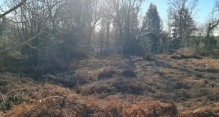 Lacombe Terrain à bâtir - 2368856-11456annonce120250807TnD5J.jpeg Maisons Open