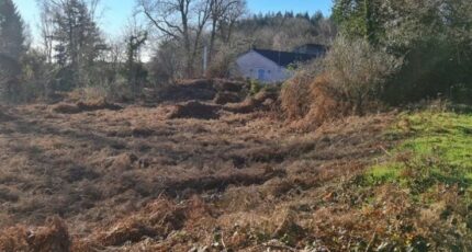 Lacombe Terrain à bâtir - 2368856-11456annonce2202508073Zn3k.jpeg Maisons Open